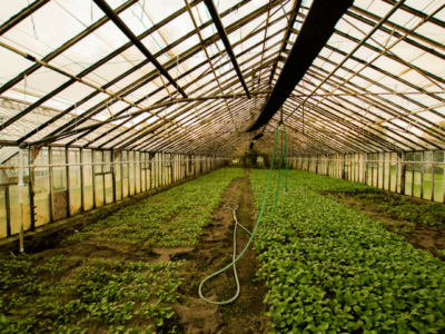 Agri-tuibouw